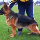 PRAIRIE HAUS KENNELS IMPORTED TITLED GERMAN SHEPHERDS