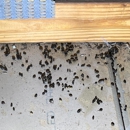 Critter Control