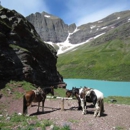 Swan Mountain Outfitters - Tourist Information & Attractions