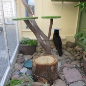 Gallery Image Number 4