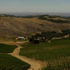 Daou Vineyards