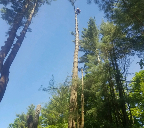 The Tree Fellas - lebanon, ME