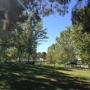 Floyd Lamb Park at Tule Springs