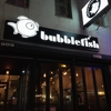 Bubblefish gallery
