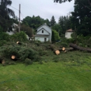 Southtowns Tree & Landscaping - Tree Service