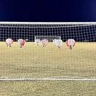 Cleveland Knockerball