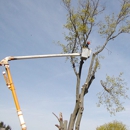 woodchuck tree experts - Landscaping & Lawn Services