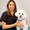 Groom-Dog Care With Love gallery
