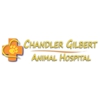 Chandler Gilbert Animal Hospital gallery