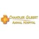Chandler Gilbert Animal Hospital