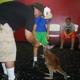 Ralphies Fun Center