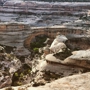 Natural Bridges National Monument