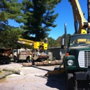 Grogan & Son Tree Service - Tree Service