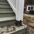 Rot Doctor - Building Restoration & Preservation