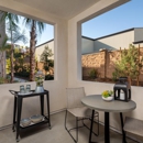 Delhaven Pointe - Apartments