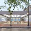 Apple New Haven gallery