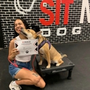 Sit Means Sit Dog Training Orlando - Dog Training
