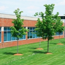 Buchanan Services - Landscape Contractors