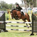 Bravado Farms - Horse Training
