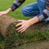 Siouxland Sod gallery