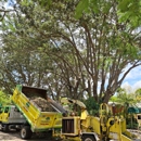 One Two Tree - Landscaping & Lawn Services