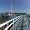Oyster Bay Marine Ce gallery