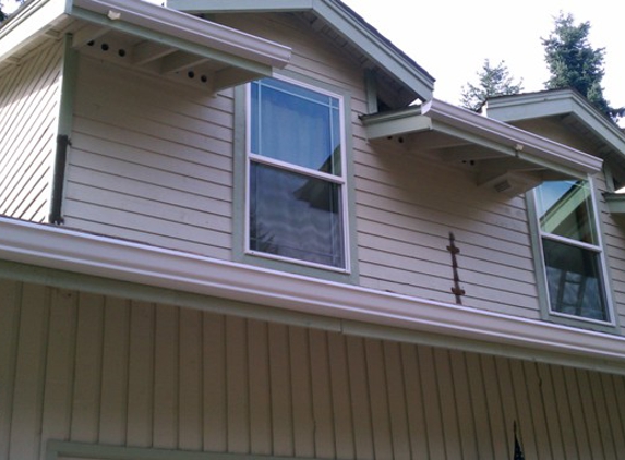 Gutter Guys Services - Bothell, WA