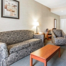 Quality Inn & Suites Benton - Draffenville - Motels