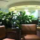 Spectrum Health Hospital-Cancer Center - Physicians & Surgeons, Oncology