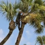 Peace Of Mind Tree Trimming