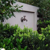 Gallery Image Number 6