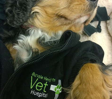 Burvale Heights Vet Hospital - Forest Hill, VIC