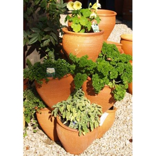 Gill's Nursery - Cheltenham, VIC