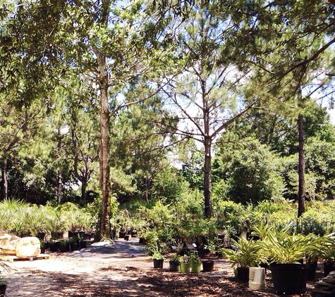 Pinelands Nursery Company - Milton, FL