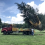 Tree Movers Inc