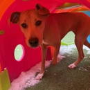 Marcie's Pet Spa