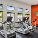 Sonterra Blue Apartments of Stone Oak