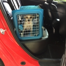 Critter Cab - Pet Services