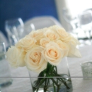Clazzy Events - Party & Event Planners