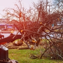 Joe Meyer Tree Service Inc - Stump Removal & Grinding