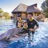 SeaWorld San Antonio gallery