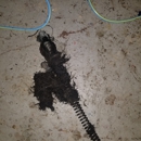 J.L. Drain Cleaning & Plumbing Services - Plumbers