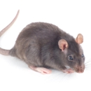 Bug Busters Pest Control - Pest Control Equipment & Supplies
