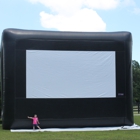 Super Size Screens