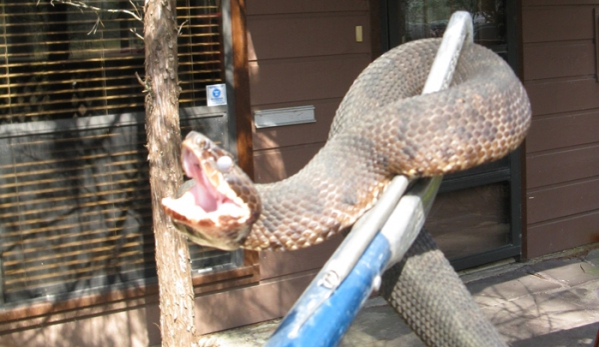 Animal Control Wildlife - New Caney, TX