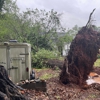 Warrior Tree Service gallery
