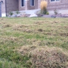 Utah Lawn Aeration gallery