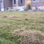Utah Lawn Aeration