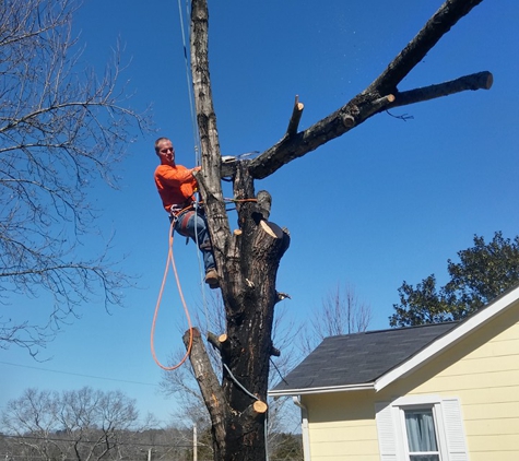 Pro Tree Service - Chattanooga, TN