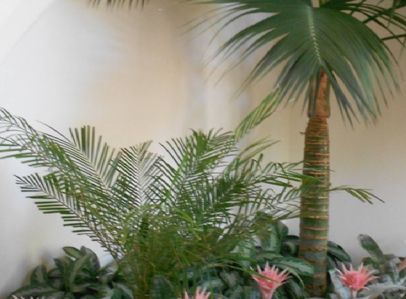 Pacific Interior Plants